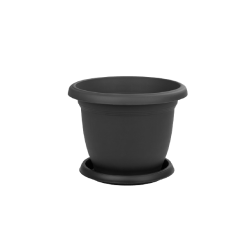 Small Round Pot